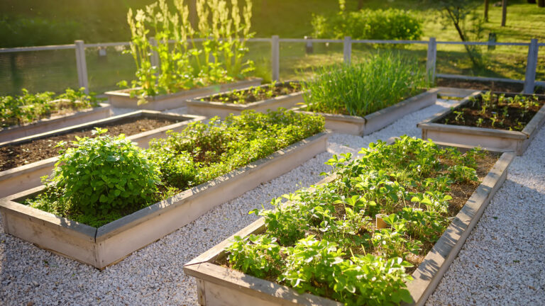 Top 10 Sustainable Gardening Practices to Transform Your Backyard in 2024